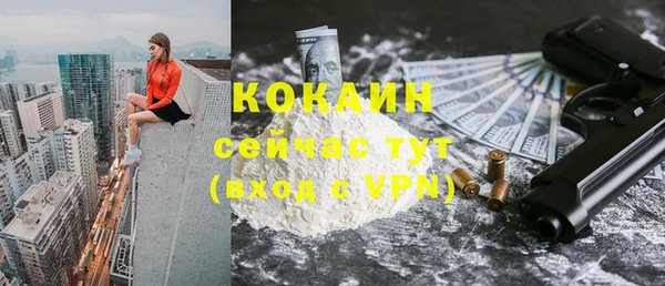 крисы Баксан
