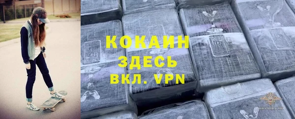крисы Баксан