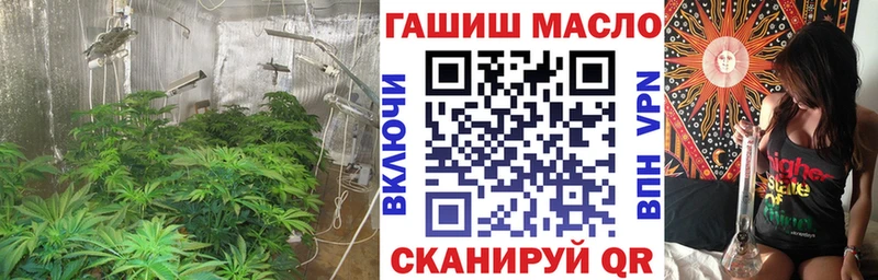 ТГК концентрат  магазин    Болохово 