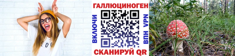 Галлюциногенные грибы GOLDEN TEACHER  Болохово 